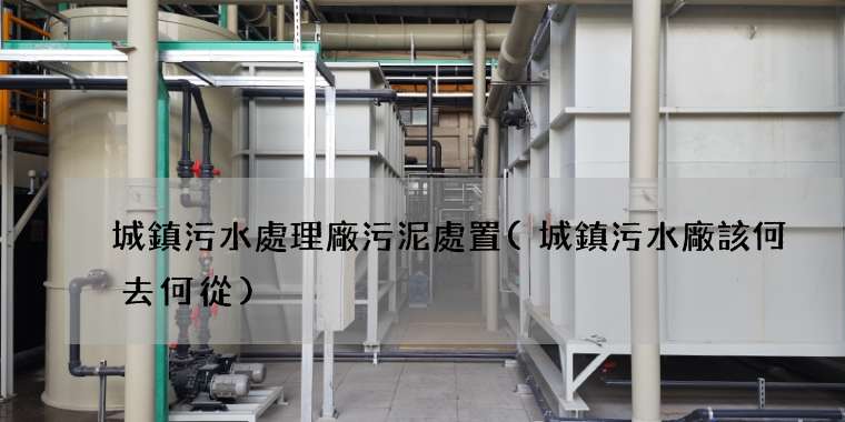 城鎮污水處理廠污泥處置(城鎮污水廠該何去何從)